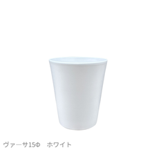 画像をギャラリービューアに読み込む, ●サンスベリア ゼラニカ 鉢直径15㎝