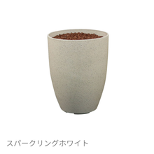 画像をギャラリービューアに読み込む, ●ツピタンサス 鉢直径22㎝