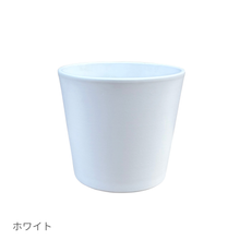 画像をギャラリービューアに読み込む, ●アグラオネマ 鉢直径13㎝