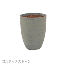 画像をギャラリービューアに読み込む, ●ツピタンサス 鉢直径22㎝