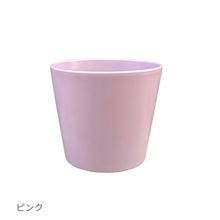 画像をギャラリービューアに読み込む, ●アグラオネマ 鉢直径13㎝