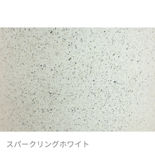 画像をギャラリービューアに読み込む, ●ツピタンサス 鉢直径22㎝