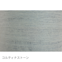 画像をギャラリービューアに読み込む, ●ツピタンサス 鉢直径22㎝