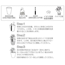 画像をギャラリービューアに読み込む, フィロデンドロン インペリアルグリーン 鉢直径7cm