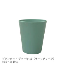 画像をギャラリービューアに読み込む, ●アグラオネマ 鉢直径15㎝