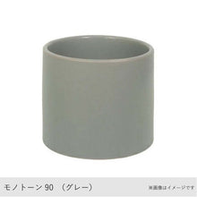 画像をギャラリービューアに読み込む, ●オキシカルディウム 鉢直径7cm