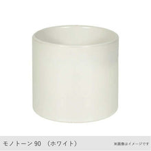 画像をギャラリービューアに読み込む, ●オキシカルディウム 鉢直径7cm
