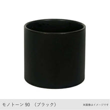 画像をギャラリービューアに読み込む, ●オキシカルディウム 鉢直径7cm