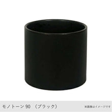 画像をギャラリービューアに読み込む, ●カンガルーファーン 鉢直径7cm