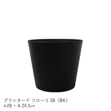 画像をギャラリービューアに読み込む, ●ツピタンサス 鉢直径28㎝