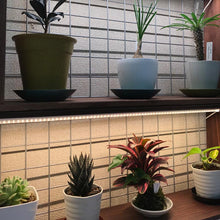 画像をギャラリービューアに読み込む, 植物育成用ライト LPL04L