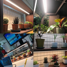 画像をギャラリービューアに読み込む, 植物育成用ライト LPL04L