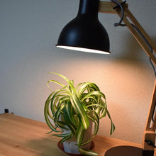 画像をギャラリービューアに読み込む, 植物育成用ライト LPL05WB 2個セット