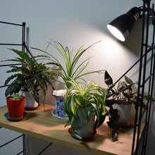 画像をギャラリービューアに読み込む, 植物育成用ライト LPL09WB 2個セット