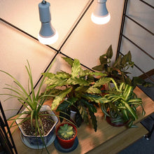 画像をギャラリービューアに読み込む, 植物育成用ライト LPL09WB 2個セット