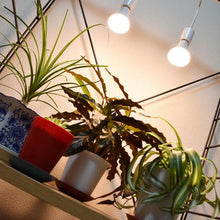 画像をギャラリービューアに読み込む, 植物育成用ライト LPL09WB 2個セット