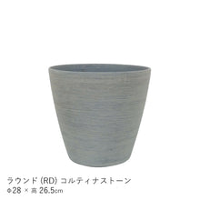 画像をギャラリービューアに読み込む, ●フィカス リラータ バンビーノ 鉢直径28㎝