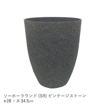 画像をギャラリービューアに読み込む, ●フィカス リラータ バンビーノ 鉢直径28㎝