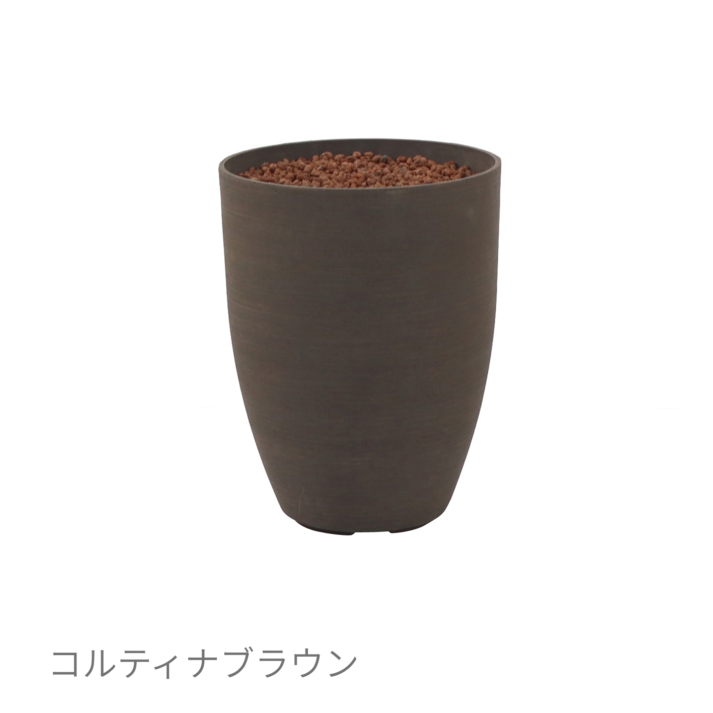 ○フィカス ルビギノーサ（フランスゴム） 鉢直径22㎝ – みずどり