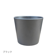 画像をギャラリービューアに読み込む, ●アグラオネマ　鉢直径13㎝

