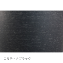 画像をギャラリービューアに読み込む, ●ツピタンサス　鉢直径22㎝
