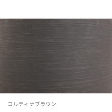 画像をギャラリービューアに読み込む, ●ツピタンサス　鉢直径22㎝
