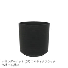 画像をギャラリービューアに読み込む, ●ツピタンサス　鉢直径22㎝
