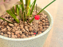 画像をギャラリービューアに読み込む, 水位計 鉢直径28Φ用
