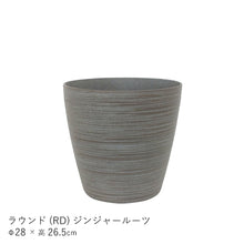 画像をギャラリービューアに読み込む, ●ツピタンサス　鉢直径22㎝
