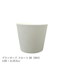 画像をギャラリービューアに読み込む, フィカス ベンガレンシス　鉢直径22cm
