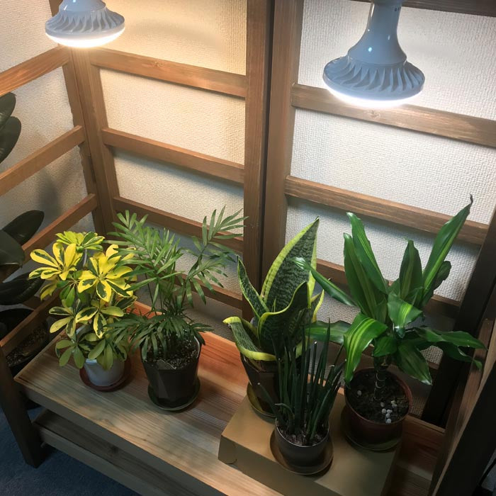 植物育成用ライト LPL15WP 2個セット – みずどり
